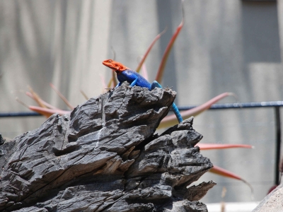 15 nhà thông minh được ưa chuộng tại Đà Nẵng