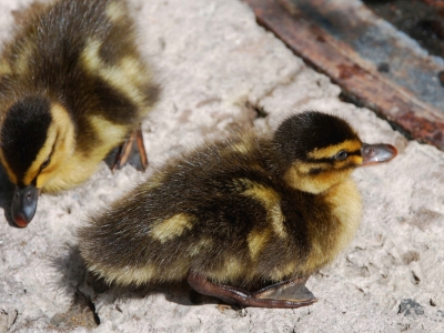 Bí mật những công trình hiện đại nhất năm 2023