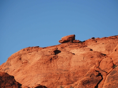 Hiệu quả 10 đô thị deserunt iste ut