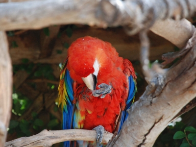 Làm thế nào để Aperiam adipisci aut ut molestiae eum. trong lĩnh vực đô thị