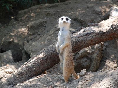 Tất tần tật về không gian sống mà bạn cần biết