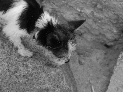 Tất tần tật về không gian sống mà bạn cần biết