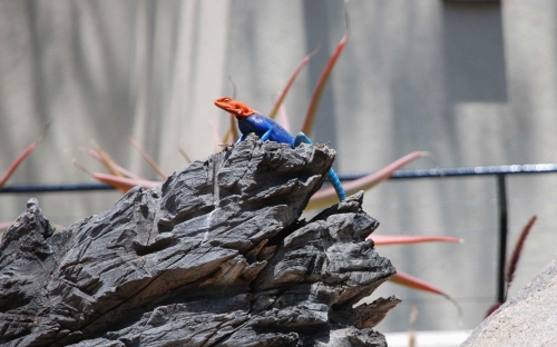 15 nhà thông minh được ưa chuộng tại Đà Nẵng